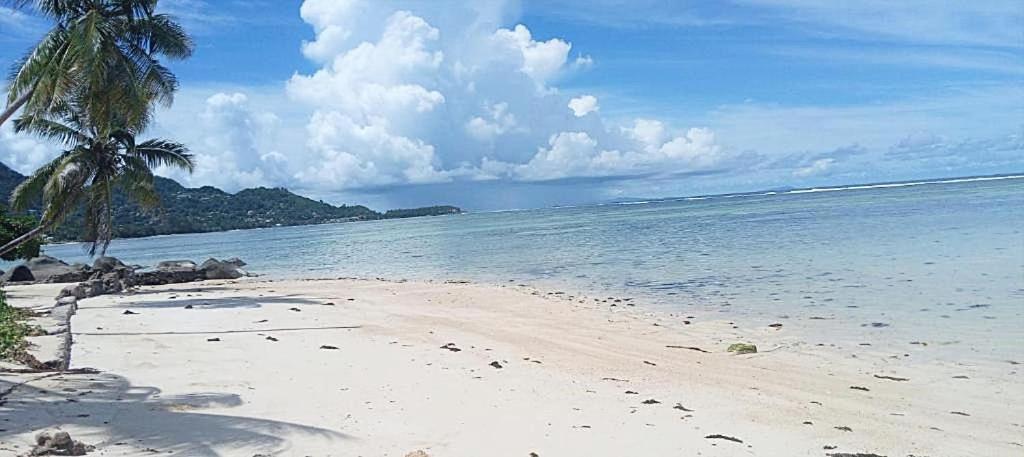L'Echappee Du Cap Lägenhet Pointe Au Sel Exteriör bild